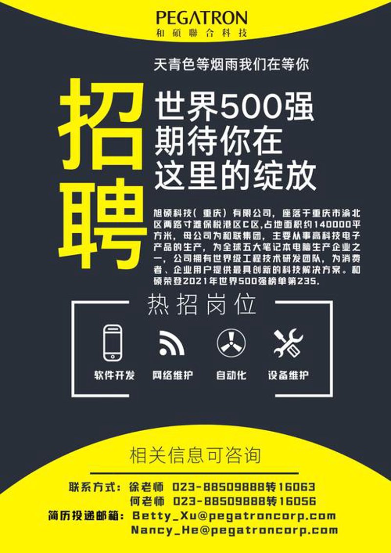 重庆人才网：你的求职导航器