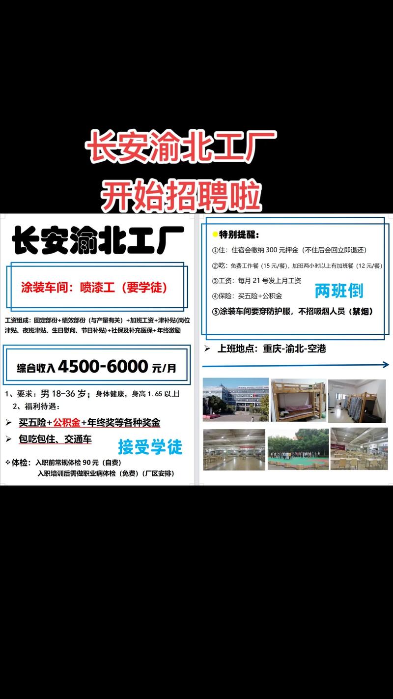 重庆人才网：你的求职导航器